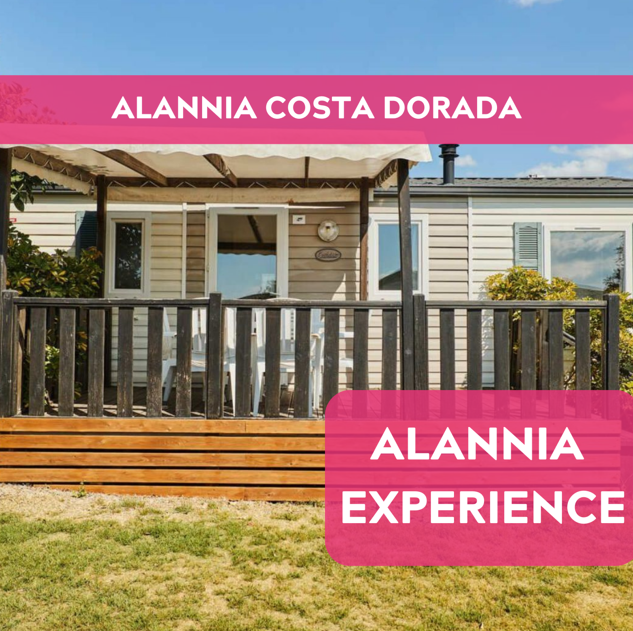 Oferta ACD Alannia experience