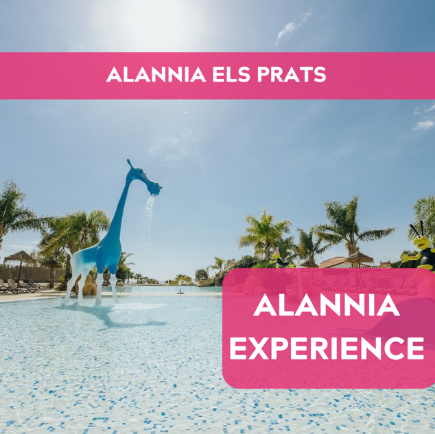Oferta AEP Alannia experience