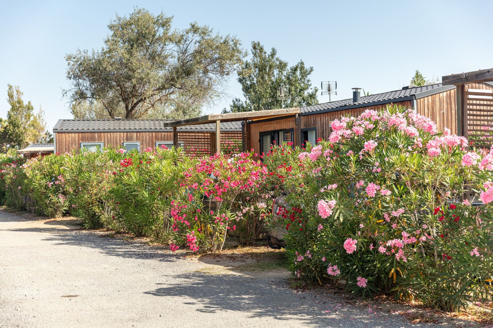 Marvilla Parks: Les Dunes