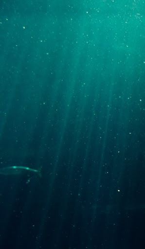Oceans forever · Alannia Sostenible