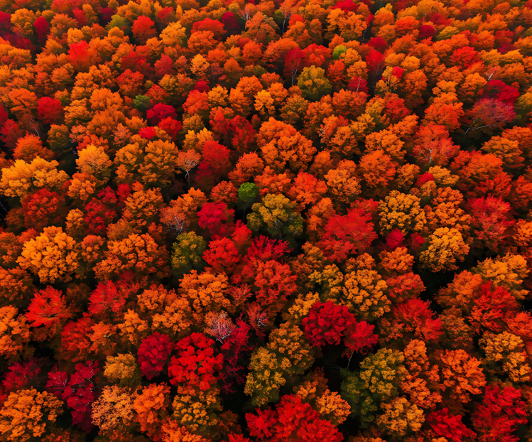 Orange people · Alannia Sostenible