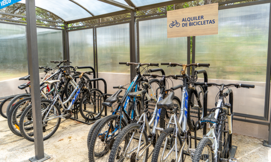 Alquiler bicicletas · Instalaciones Alannia Neptuno