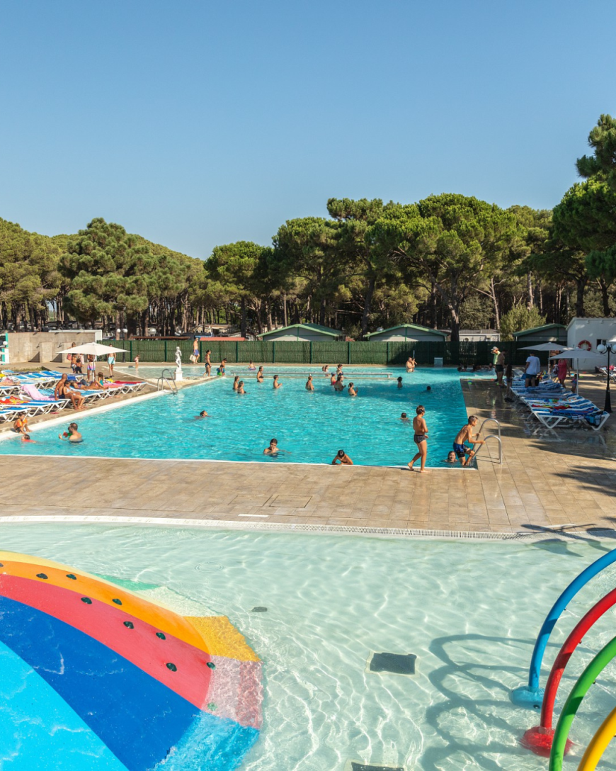 Fiesta apertura - AP Y AN