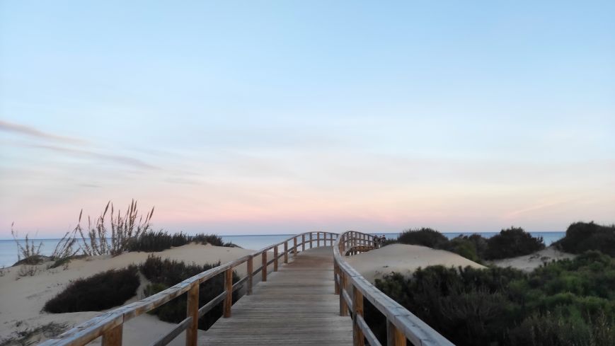 Rutas en familia · Planes Alannia Resort