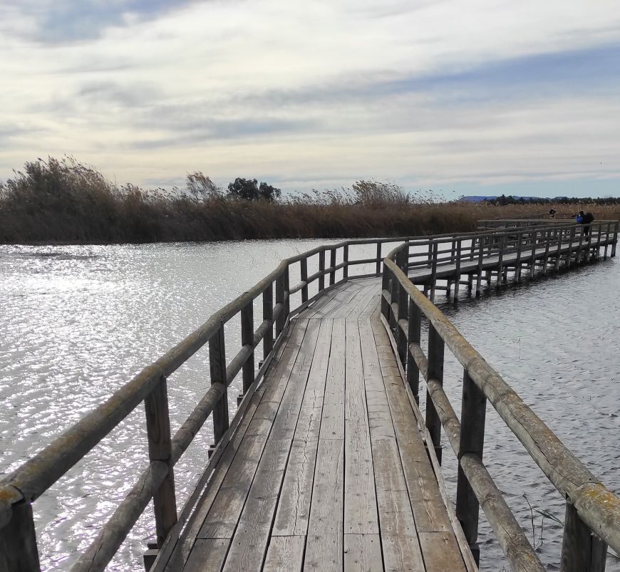 Rutas en familia · Planes Alannia Resort