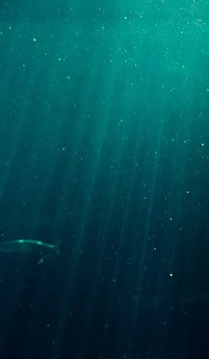 Oceans forever · Proyecto Alannia Salou · Alannia Sostenible